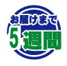 お届けまで4週間